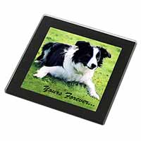 Border Collie Dog "Yours Forever..." Black Rim High Quality Glass Coaster