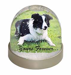 Border Collie Dog "Yours Forever..." Snow Globe Photo Waterball