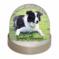 Border Collie Dog "Yours Forever..." Snow Globe Photo Waterball