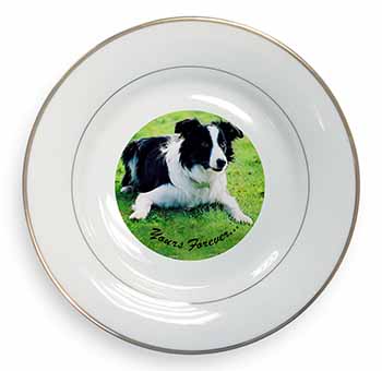 Border Collie Dog "Yours Forever..." Gold Rim Plate Printed Full Colour in Gift 
