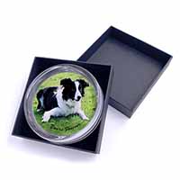 Border Collie Dog "Yours Forever..." Glass Paperweight in Gift Box