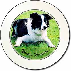 Border Collie Dog "Yours Forever..." Car or Van Permit Holder/Tax Disc Holder