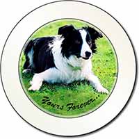 Border Collie Dog "Yours Forever..." Car or Van Permit Holder/Tax Disc Holder