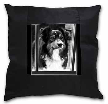 Border Collie in Window Black Satin Feel Scatter Cushion