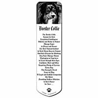 Border Collie in Window Bookmark, Book mark, Printed full colour