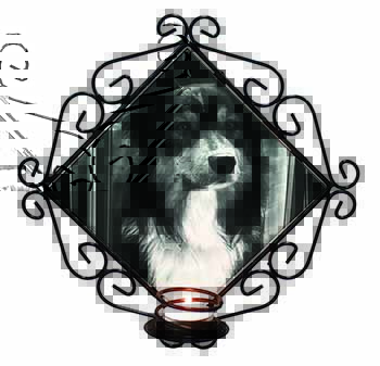 Border Collie in Window Wrought Iron Wall Art Candle Holder