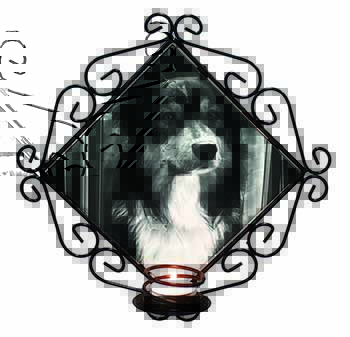 Border Collie in Window Wrought Iron Wall Art Candle Holder