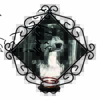 Border Collie in Window Wrought Iron Wall Art Candle Holder