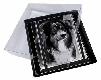 4x Border Collie in Window Picture Table Coasters Set in Gift Box