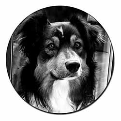 Border Collie in Window Fridge Magnet Printed Full Colour