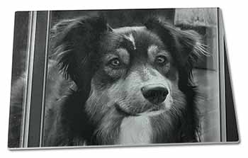 Large Glass Cutting Chopping Board Border Collie in Window