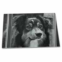 Large Glass Cutting Chopping Board Border Collie in Window