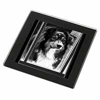 Border Collie in Window Black Rim High Quality Glass Coaster