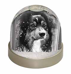 Border Collie in Window Snow Globe Photo Waterball