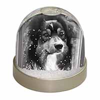 Border Collie in Window Snow Globe Photo Waterball