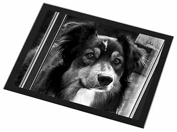 Border Collie in Window Black Rim High Quality Glass Placemat