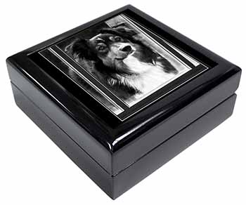 Border Collie in Window Keepsake/Jewellery Box