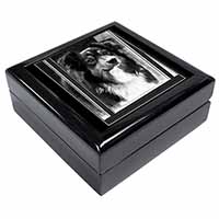 Border Collie in Window Keepsake/Jewellery Box