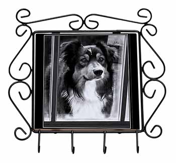 Border Collie in Window Wrought Iron Key Holder Hooks