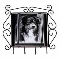 Border Collie in Window Wrought Iron Key Holder Hooks