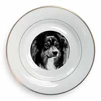 Border Collie in Window Gold Rim Plate Printed Full Colour in Gift Box