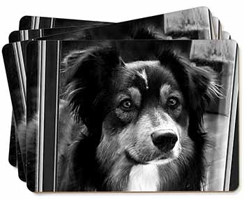 Border Collie in Window Picture Placemats in Gift Box