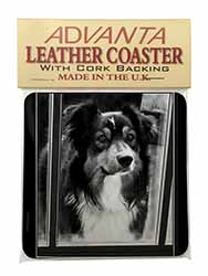 Border Collie in Window Single Leather Photo Coaster