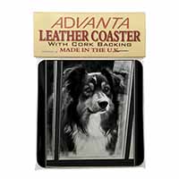 Border Collie in Window Single Leather Photo Coaster