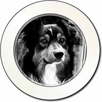 Border Collie in Window Car or Van Permit Holder/Tax Disc Holder