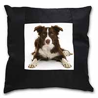 Liver and White Border Collie Black Satin Feel Scatter Cushion