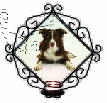 Liver and White Border Collie Wrought Iron Wall Art Candle Holder