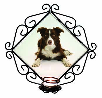 Liver and White Border Collie Wrought Iron Wall Art Candle Holder