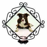 Liver and White Border Collie Wrought Iron Wall Art Candle Holder