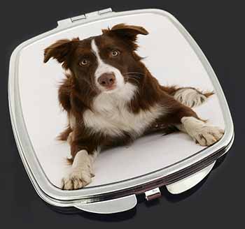 Liver and White Border Collie Make-Up Compact Mirror