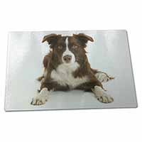 Large Glass Cutting Chopping Board Liver and White Border Collie