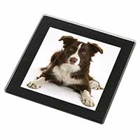 Liver and White Border Collie Black Rim High Quality Glass Coaster