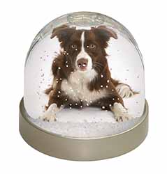 Liver and White Border Collie Snow Globe Photo Waterball