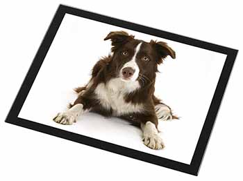 Liver and White Border Collie Black Rim High Quality Glass Placemat
