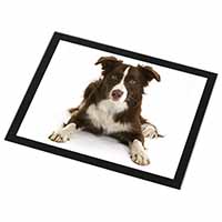 Liver and White Border Collie Black Rim High Quality Glass Placemat