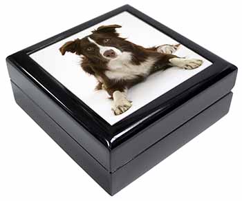 Liver and White Border Collie Keepsake/Jewellery Box