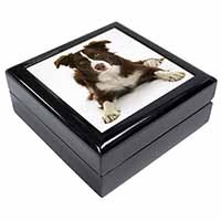 Liver and White Border Collie Keepsake/Jewellery Box