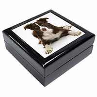 Liver and White Border Collie Keepsake/Jewellery Box