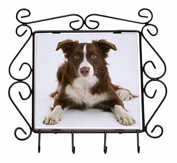 Liver and White Border Collie Wrought Iron Key Holder Hooks