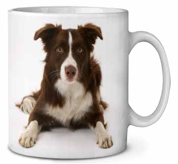 Liver and White Border Collie Ceramic Coffee Mug/Tea Cup