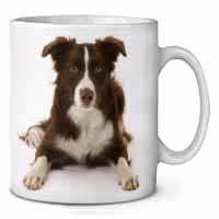 Liver and White Border Collie Ceramic 10oz Coffee Mug/Tea Cup