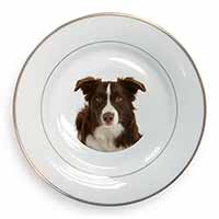 Liver and White Border Collie Gold Rim Plate Printed Full Colour in Gift Box