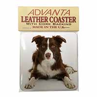 Liver and White Border Collie Single Leather Photo Coaster