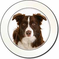 Liver and White Border Collie Car or Van Permit Holder/Tax Disc Holder
