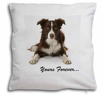 Liver and White Border Collie "Yours Forever..." Soft White Velvet Feel Scatter 