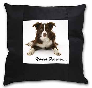 Liver and White Border Collie "Yours Forever..." Black Satin Feel Scatter Cushio